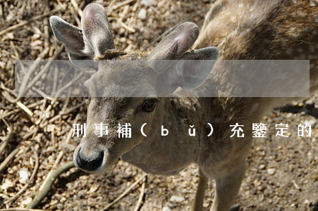 刑事補(bǔ)充鑒定的條件是什么？